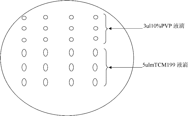 Sperm freezing method and freezing liquid thereof