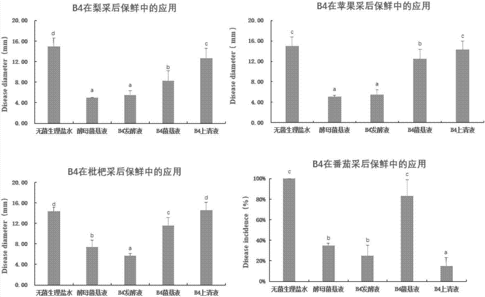 Bacillus amyloliquefaciens strain used for biocontrol, and use thereof