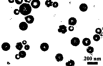 Method for synthesizing upconversion fluorescence hollow nanosphere based on sodium polyacrylate microsphere template synthesis