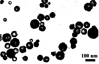 Method for synthesizing upconversion fluorescence hollow nanosphere based on sodium polyacrylate microsphere template synthesis