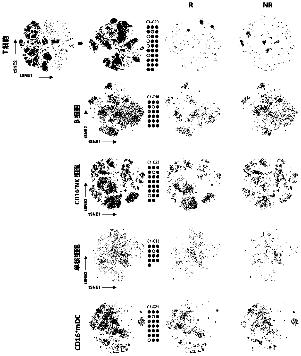 Marker for evaluating gemcitabine chemosensitivity of intrahepatic cholangiocarcinoma and application of marker