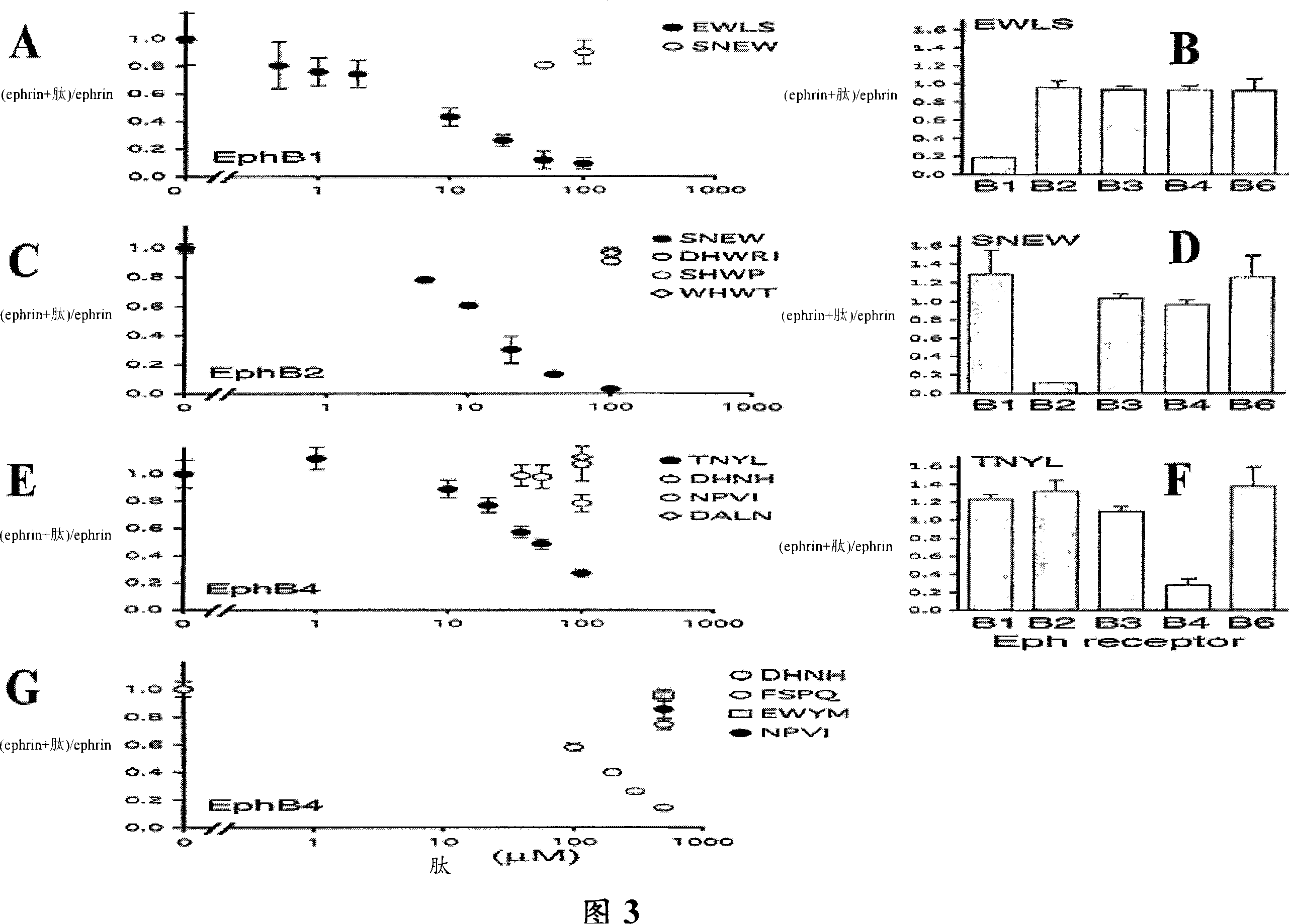 EphB receptor-binding peptides