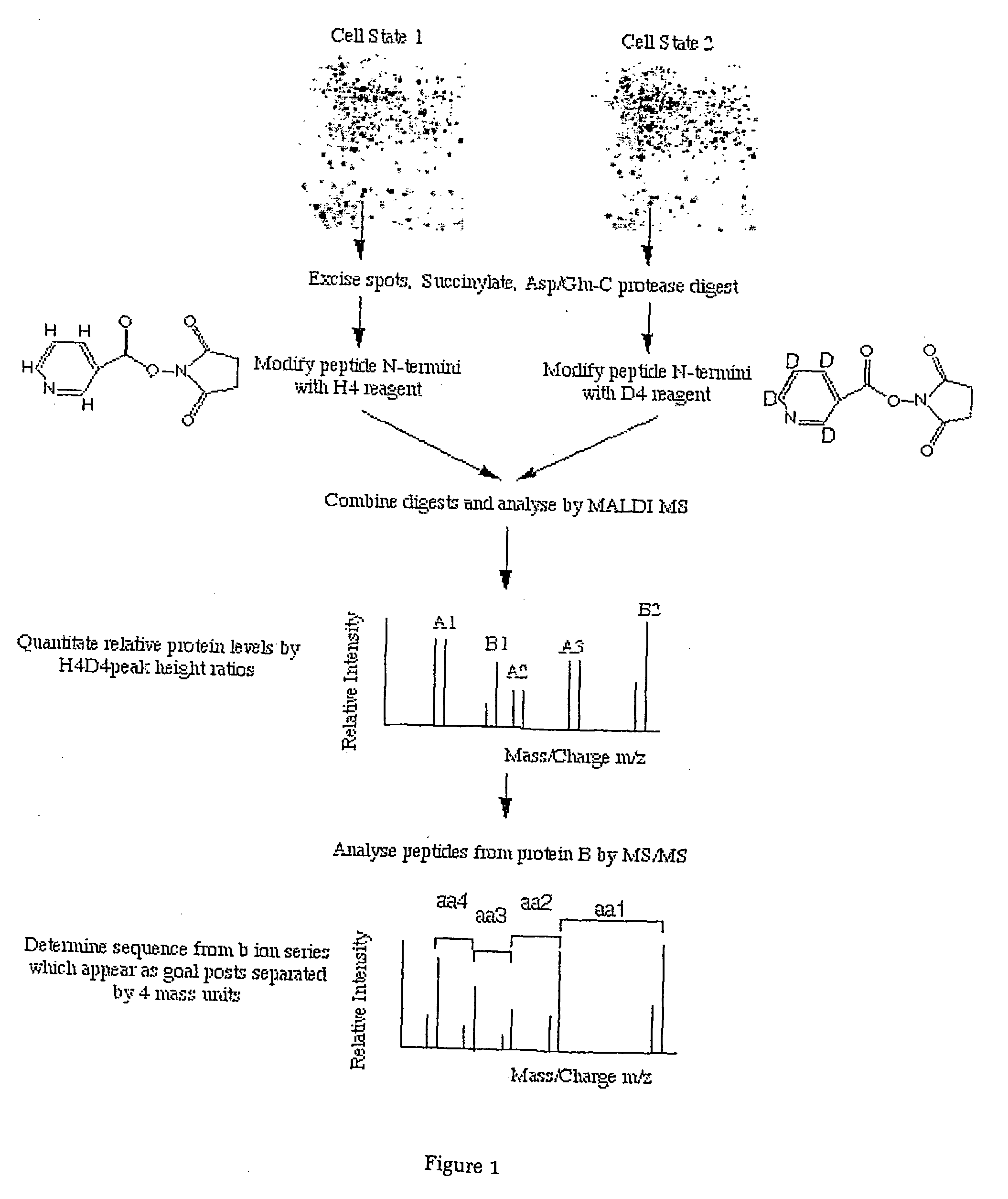 Macromolecule detection