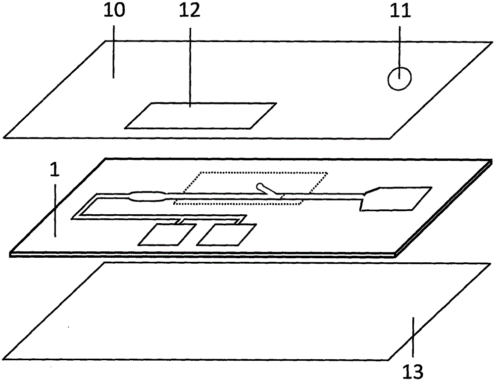 Magnetic particle direct chemiluminiscence microfluidic chip for whole blood sample testing