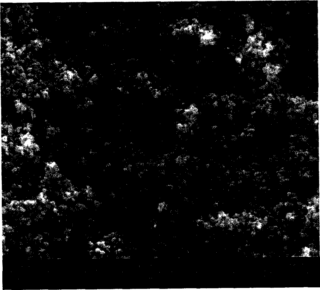 Zirconium oxide full-porcelain dental repair material and its preparing method