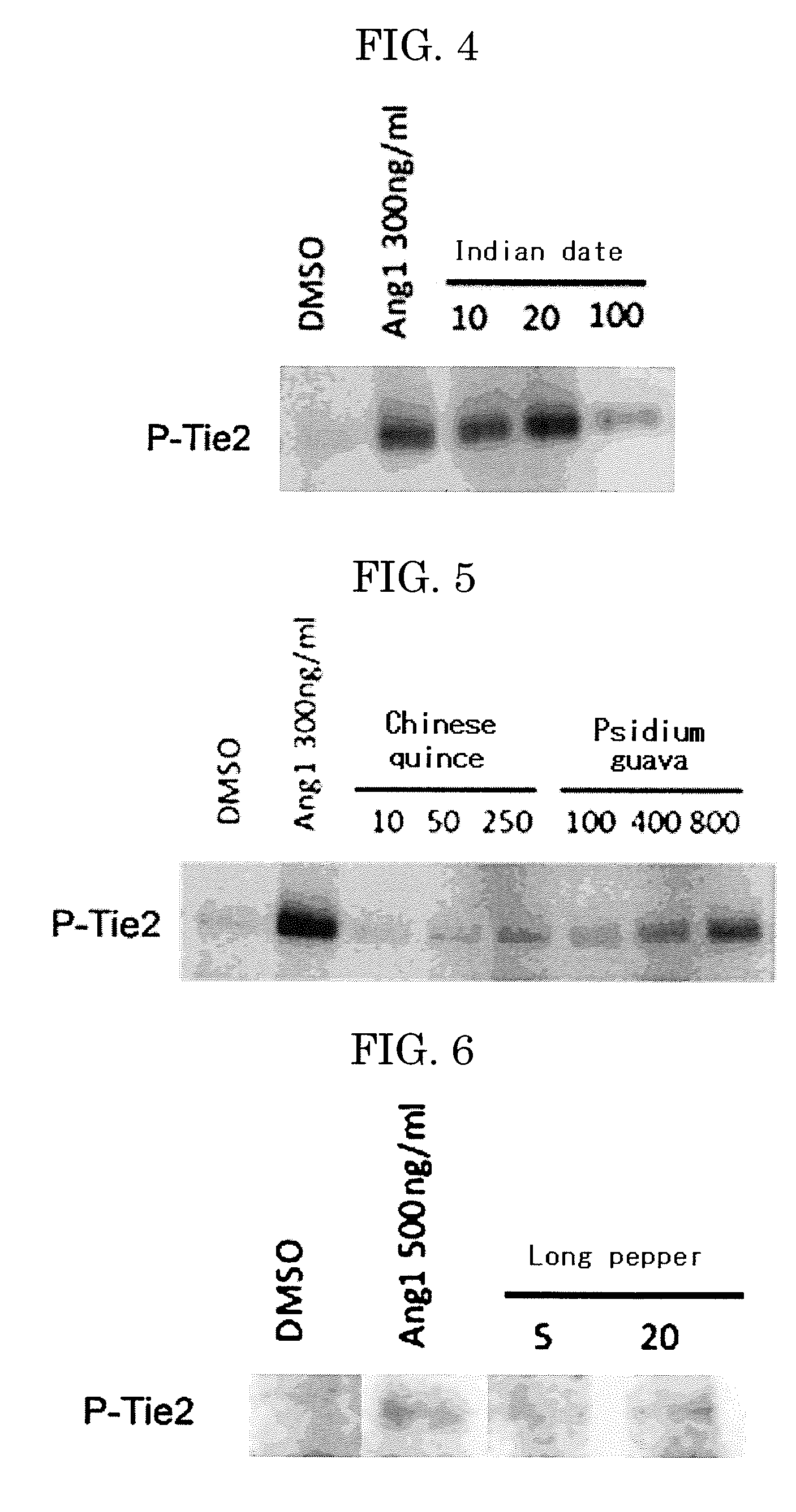 TIE2 Activator, Vascular Endothelial Growth Factor (VEGF) Inhibitor, Angiogenesis Inhibitor, Vascular Maturing Agent, Vascular Normalizing Agent and Vascular Stabilizing Agent, and Pharmaceutical Composition