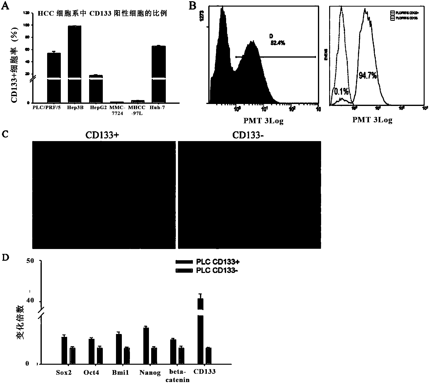 Application of bone morphogenetic protein 4 in cancer inhibition