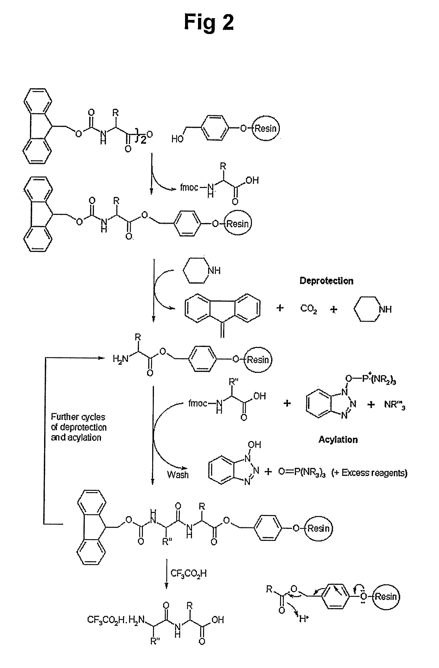 Peptides for Promoting Hair Growth and Improving Wrinkle and Cosmetic Compositions Comprising the same