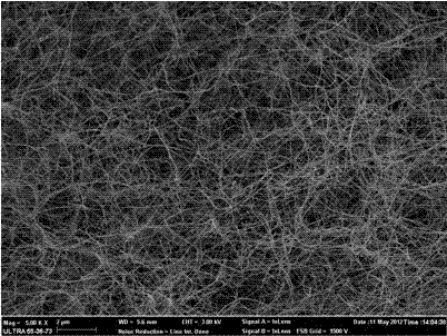 Preparation method of SiC nanowire with expandable graphite as carbon source