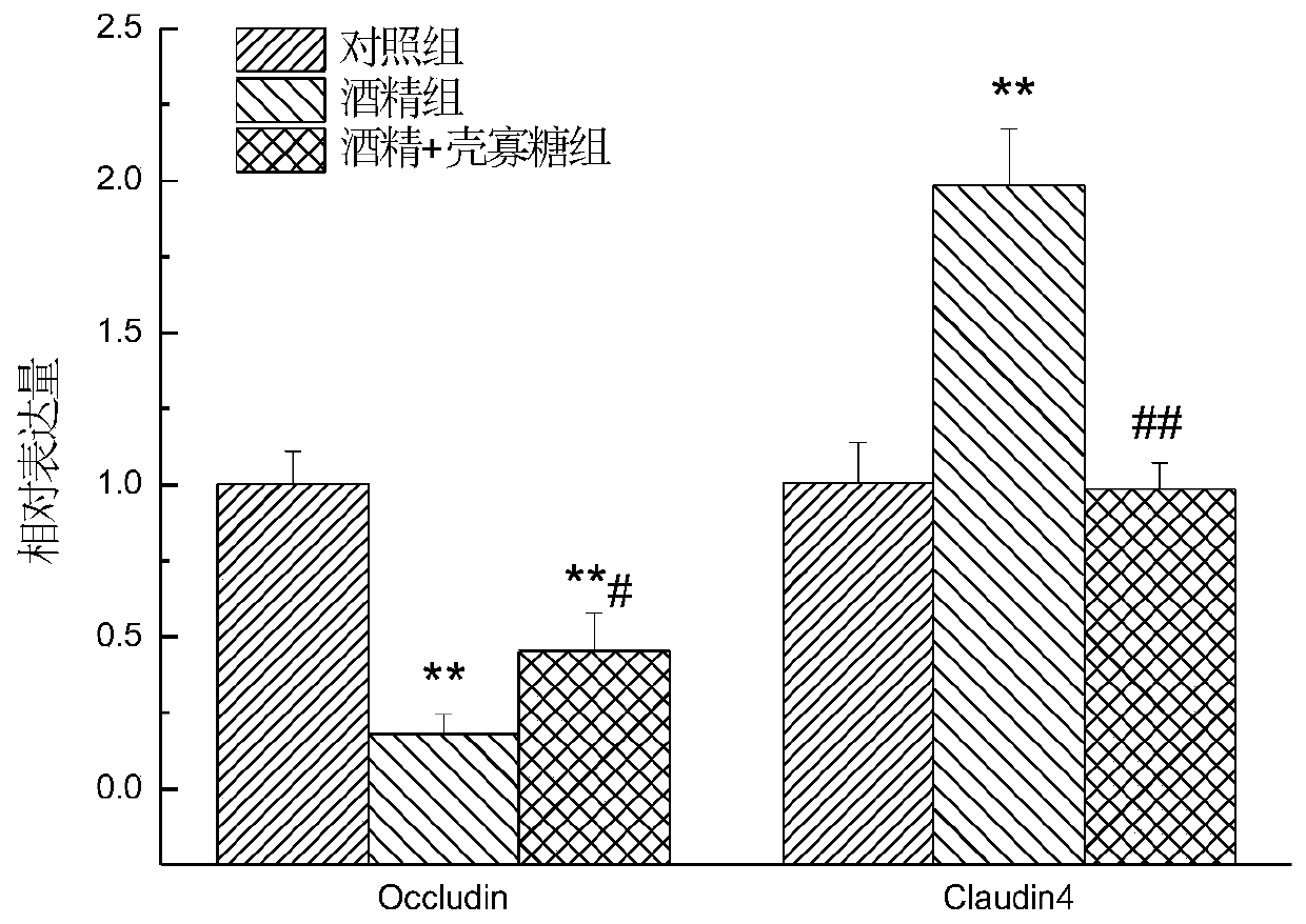 Functional food for intervening chronic alcohol-induced small intestine injury and application of functional food