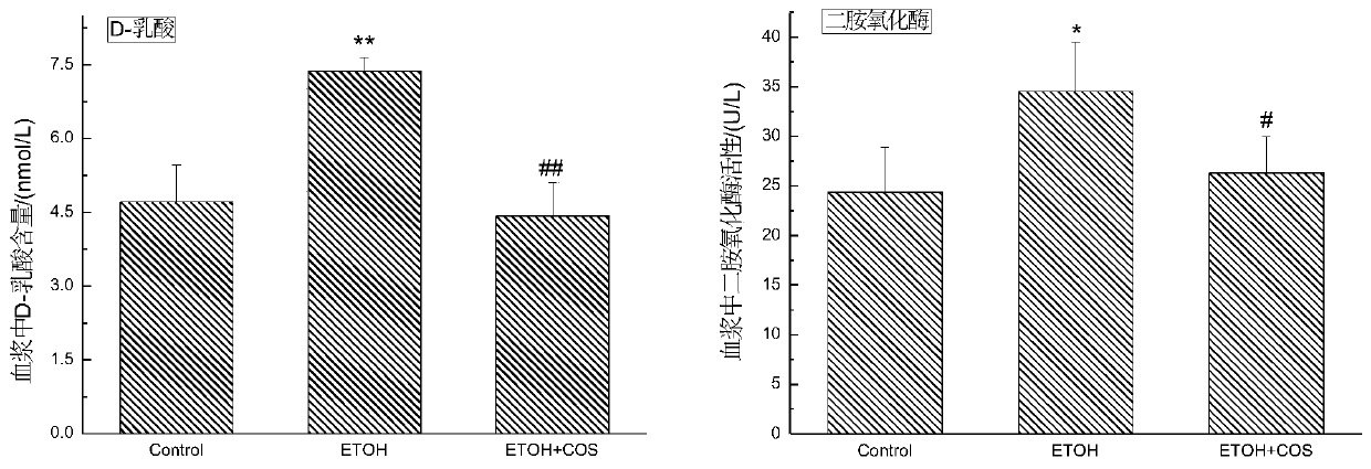 Functional food for intervening chronic alcohol-induced small intestine injury and application of functional food