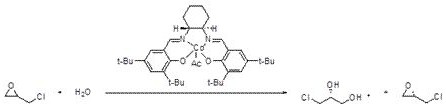 Chiral resolution device for racemic epoxy chloropropane