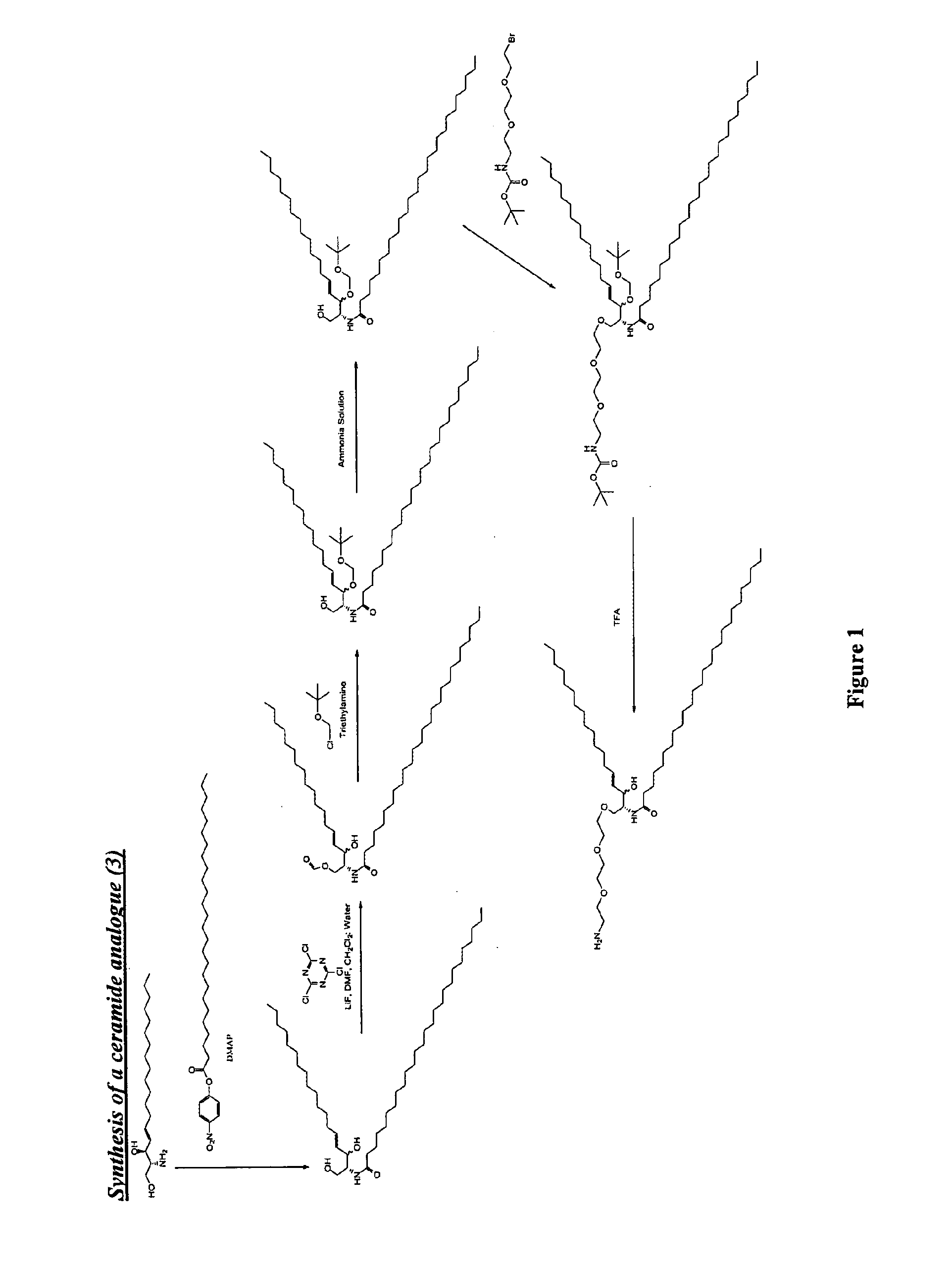 Multi-valent adjuvant display