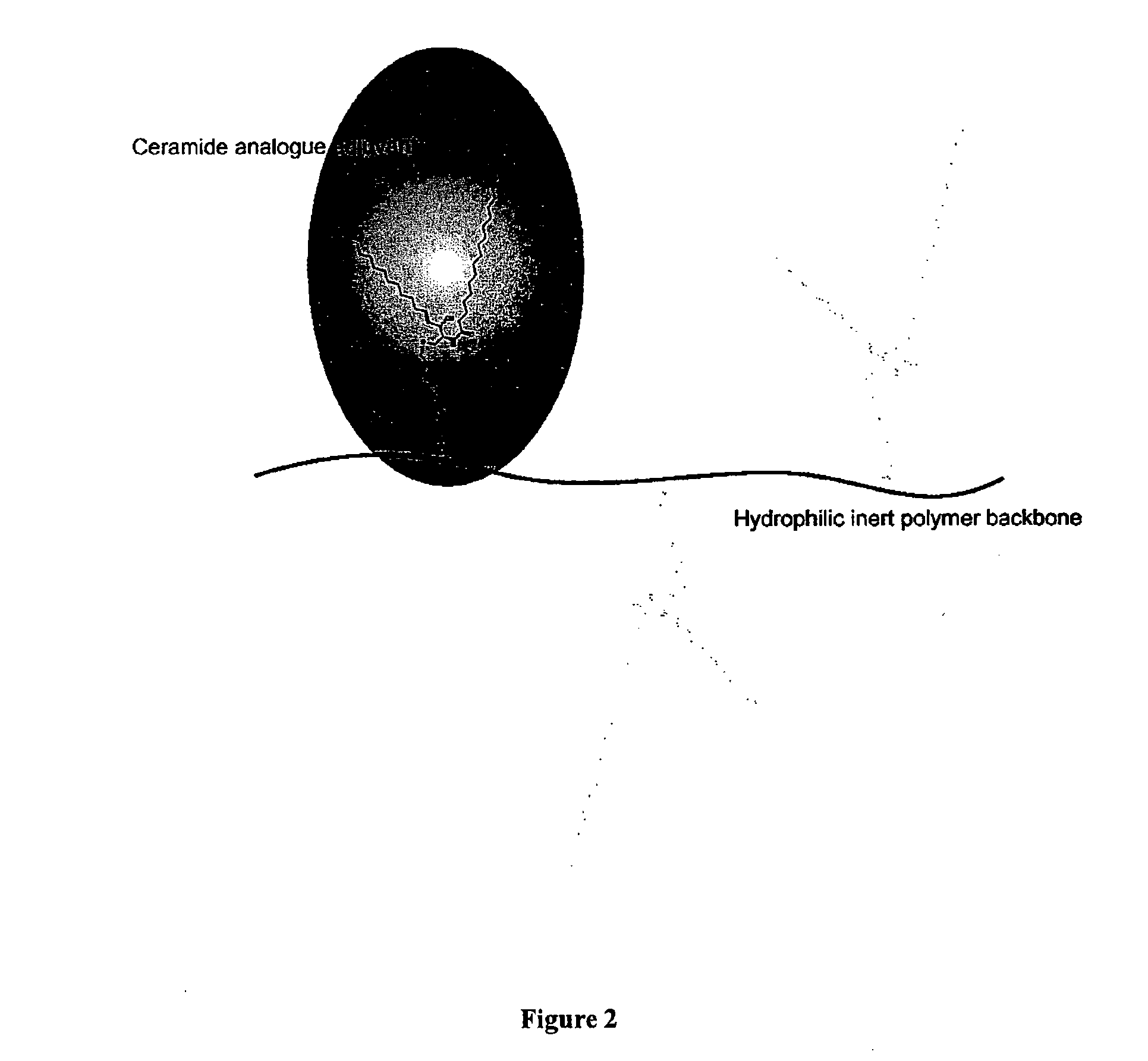 Multi-valent adjuvant display