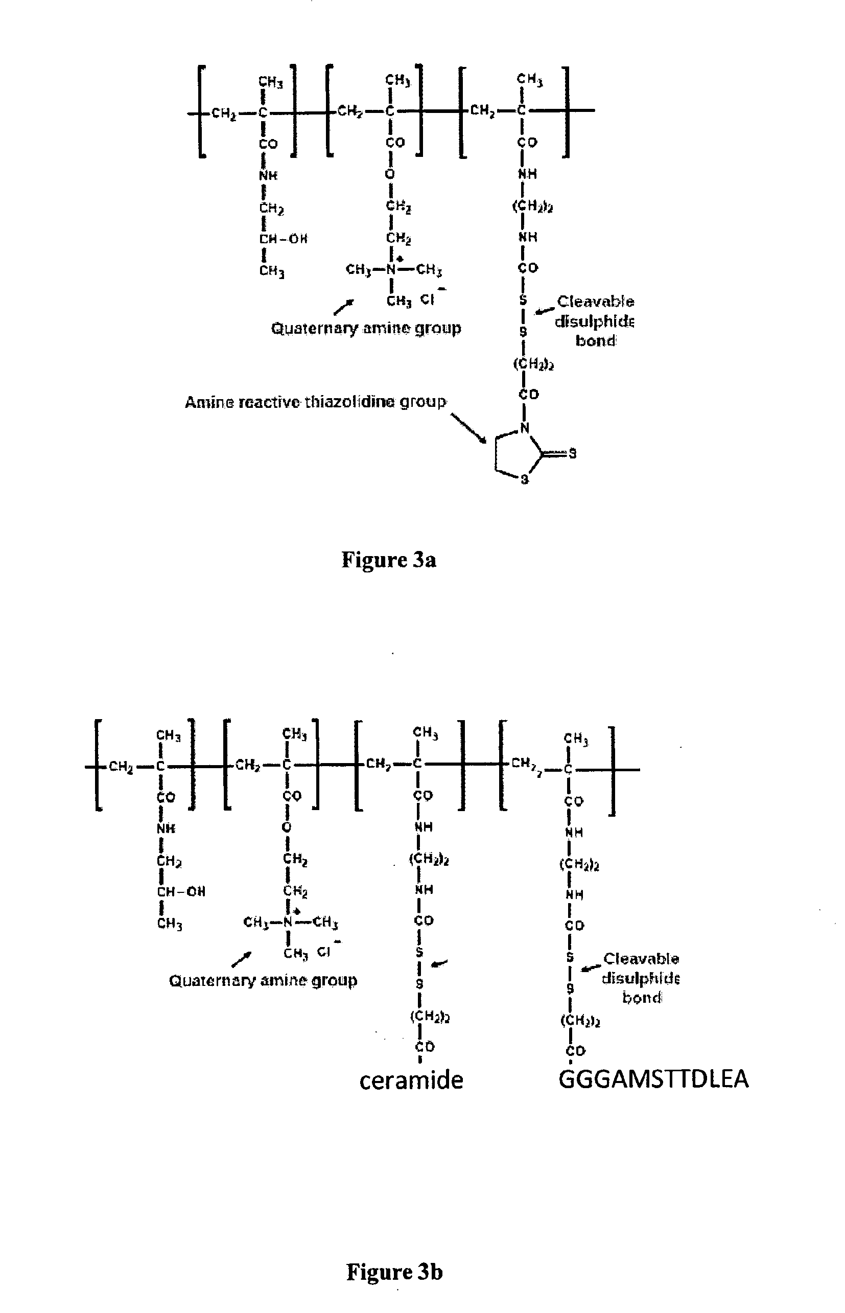 Multi-valent adjuvant display