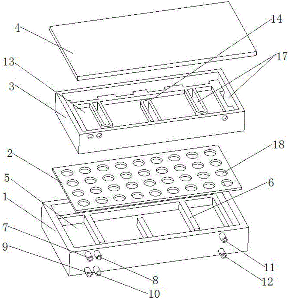 Fed-batch type two-layer cell co-culture chip