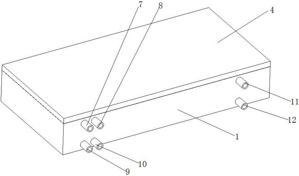 Fed-batch type two-layer cell co-culture chip