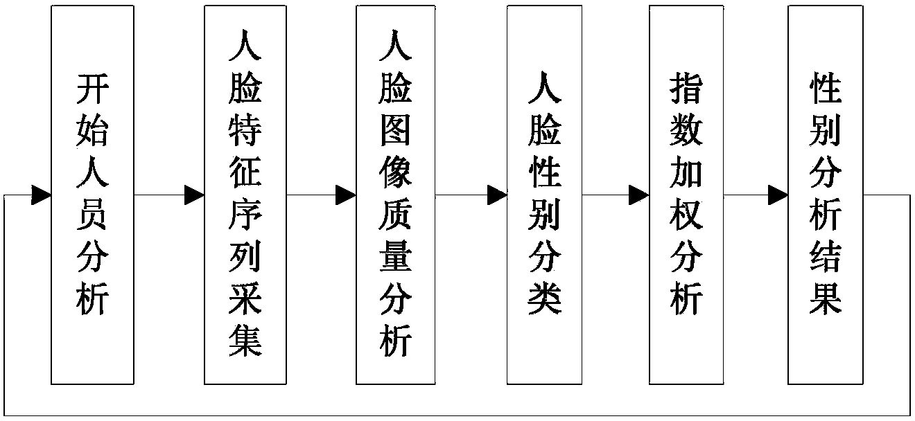 Human face gender recognition method based on multi-parameter index weighting