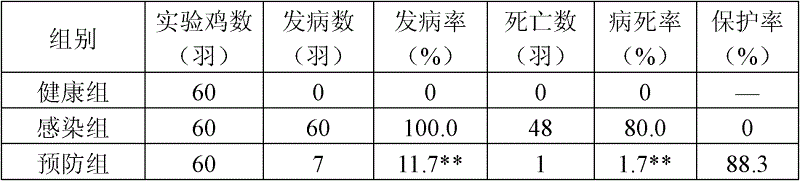 Medicament for treating chicken colibacillosis and preparation method thereof