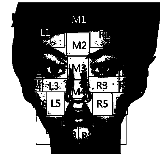 Skin type and skin problem identification and detection method based on facial image identification