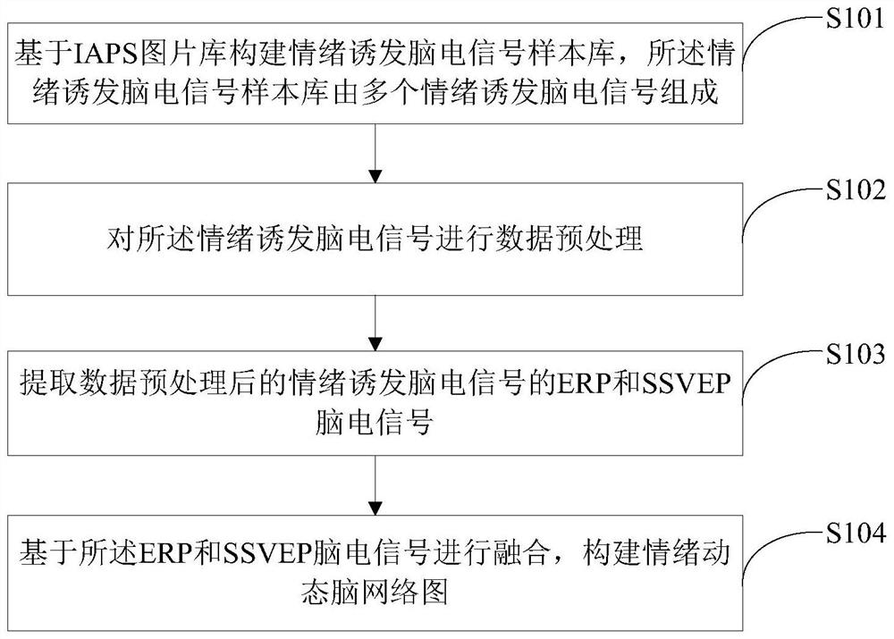 Construction method of emotional dynamic brain network map based on fusion of ssvep and erp