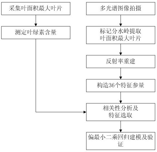 A multispectral estimation method for tomato chlorophyll content