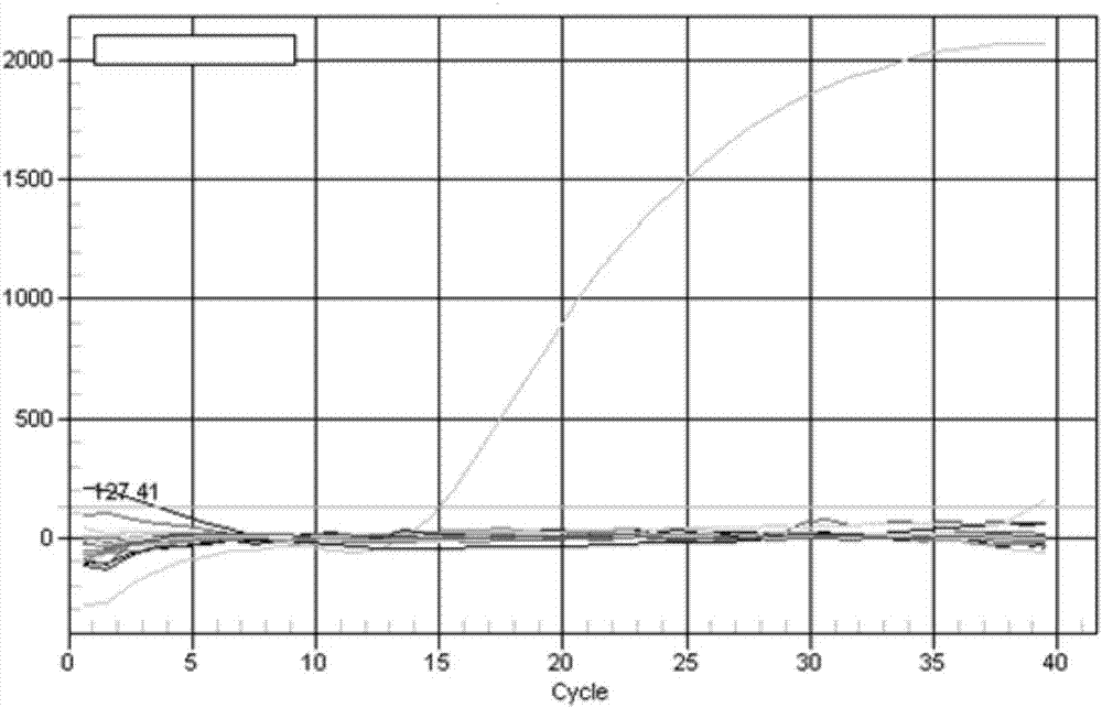 A Dual Fluorescent PCR Method for the Simultaneous Detection of Horse- and Donkey-Derived Components