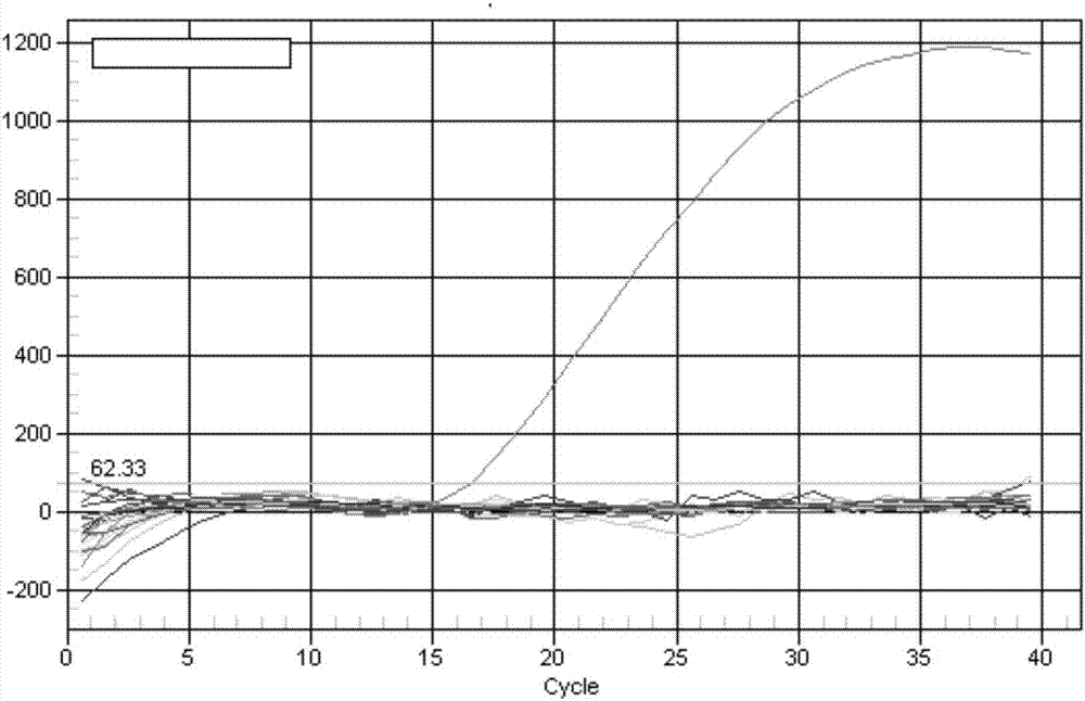 A Dual Fluorescent PCR Method for the Simultaneous Detection of Horse- and Donkey-Derived Components