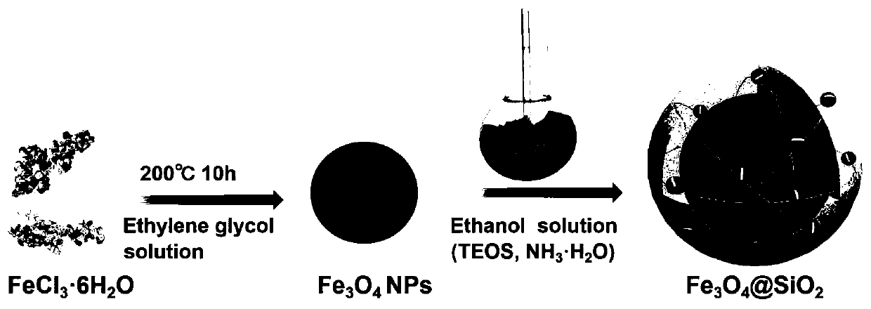 Method for degrading rhodamine B by adsorbing vanadium oxide quantum dots through magnetic nanospheres