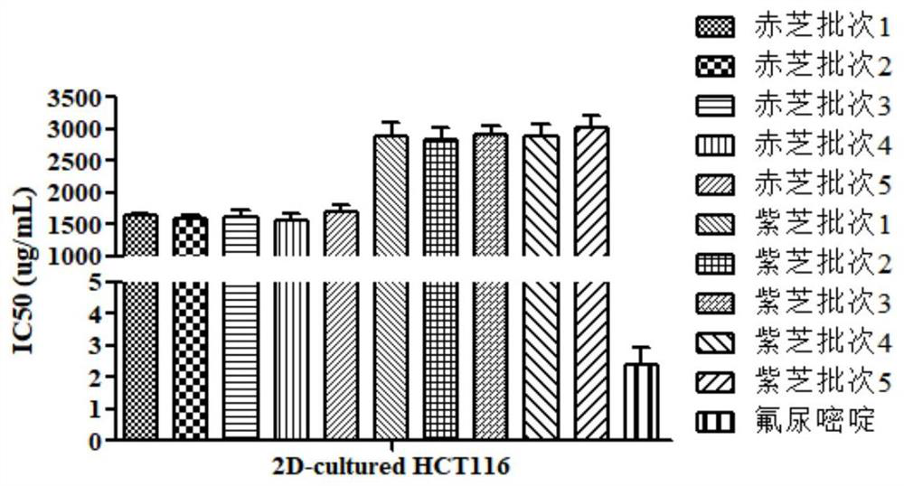 Ganoderma quality evaluation method based on in-vitro tumor cell culture model