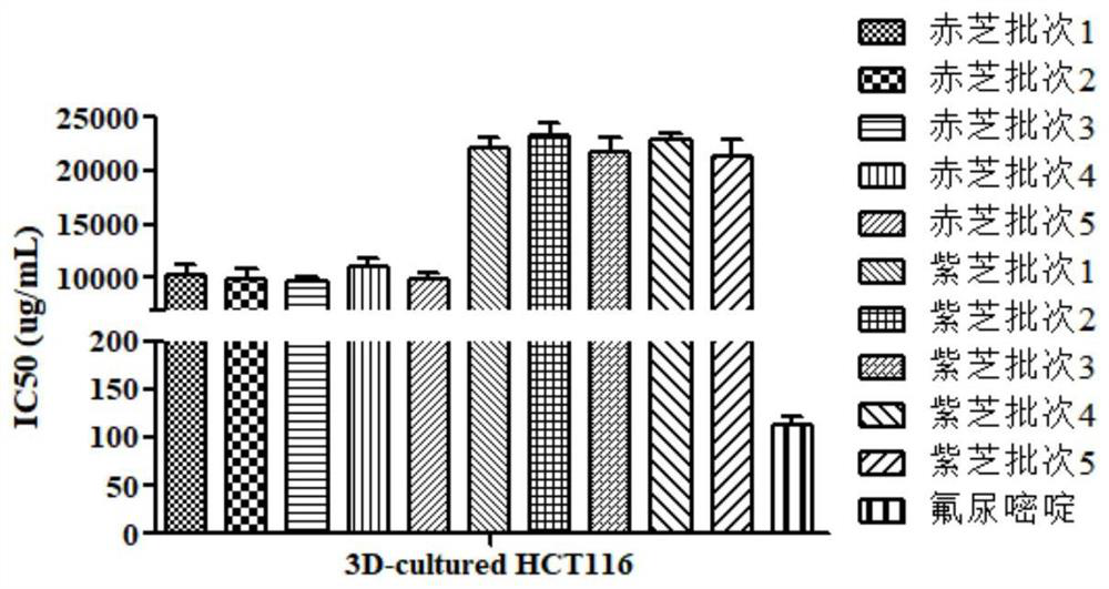 Ganoderma quality evaluation method based on in-vitro tumor cell culture model