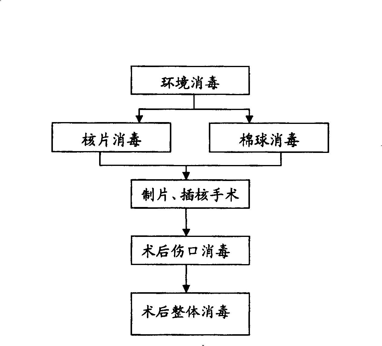 Systematized disinfecting method for nucleus-insertion technique of nucleated pearl