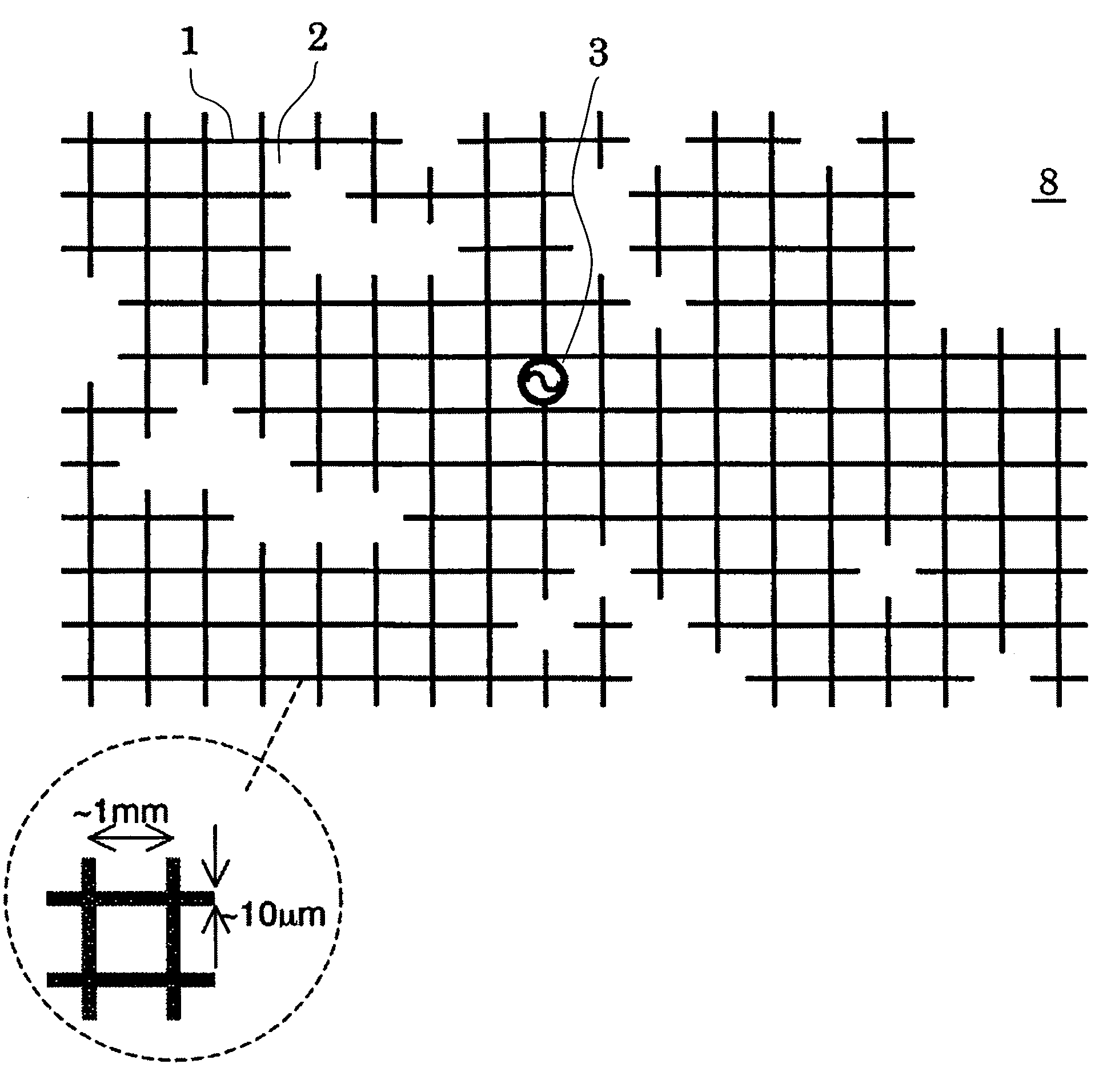 Skeleton equalizing antenna, RFID tag and RFID system using the same