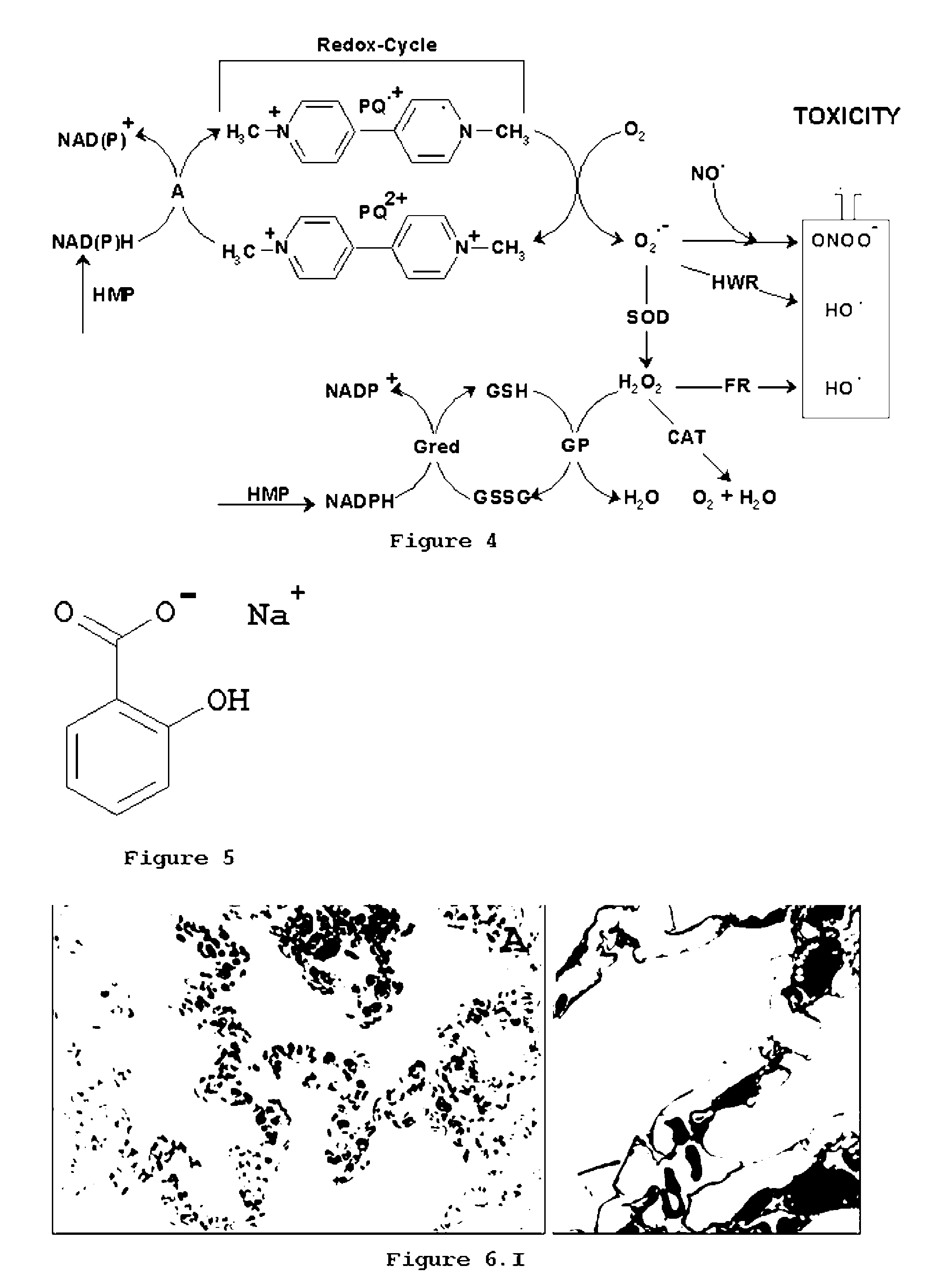 Use of Salicylate as an Antidote for Paraquat Intoxications in Mammals