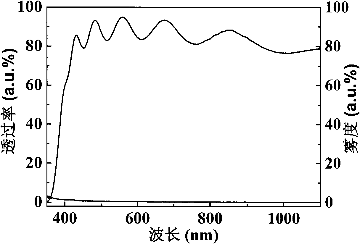 Seed crystal layer-assisting surface texturing zinc oxide transparent conductive film and preparation method thereof