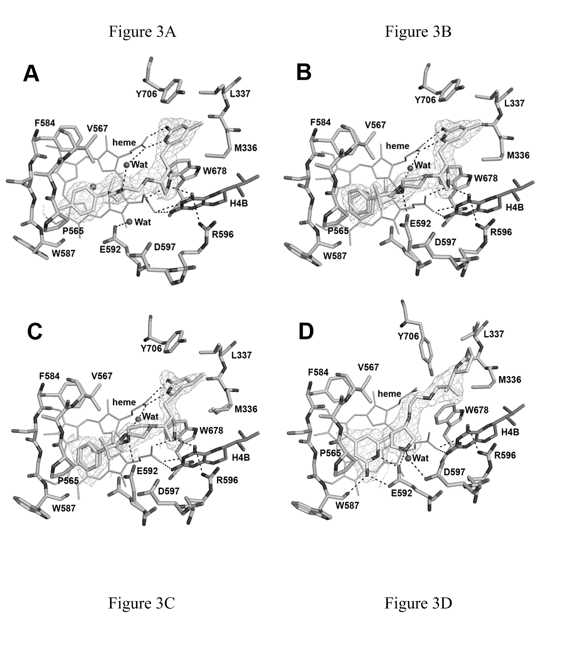 Potent and selective neuronal nitric oxide synthase inhibitors with improved membrane permeability