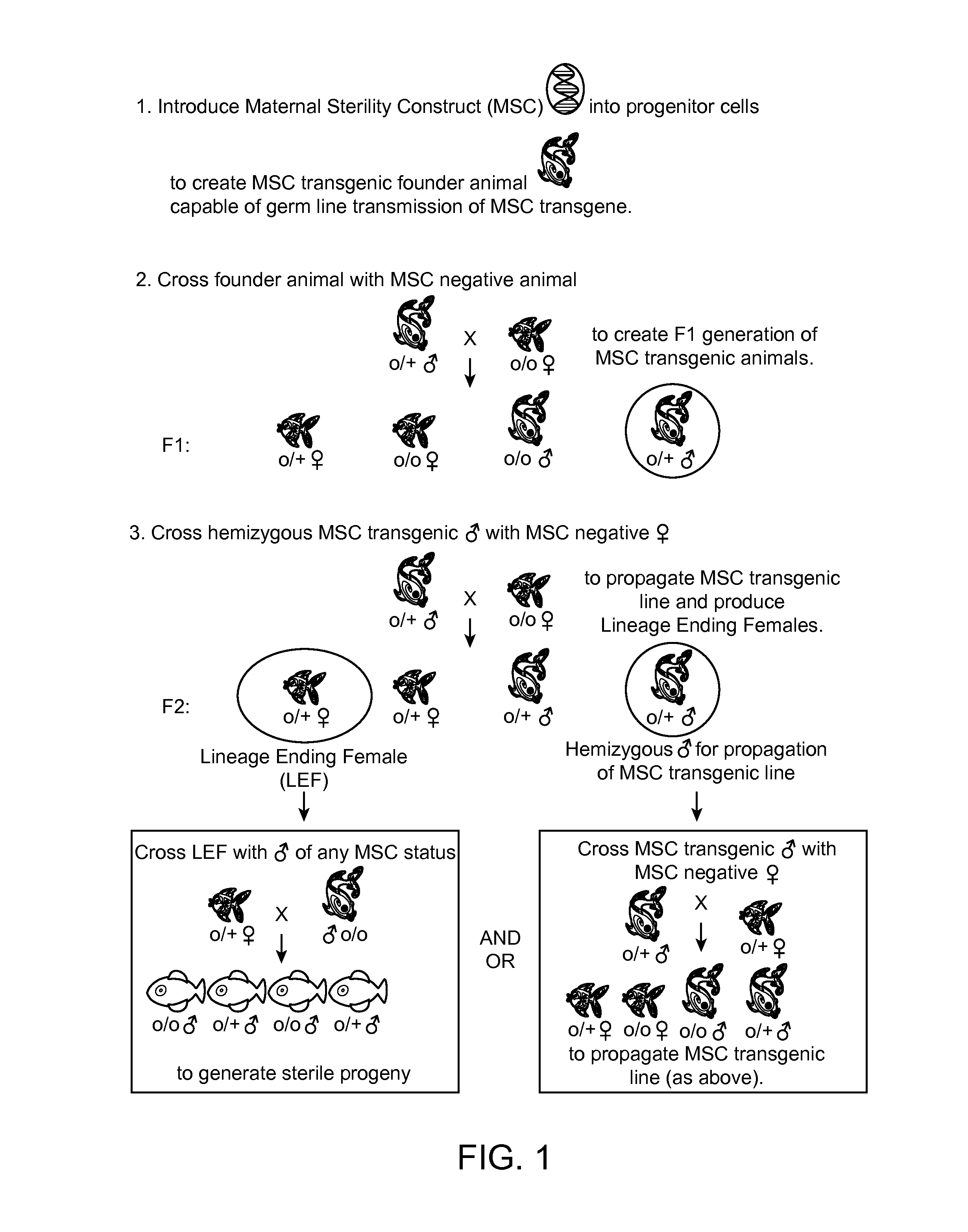 Maternally induced sterility in animals