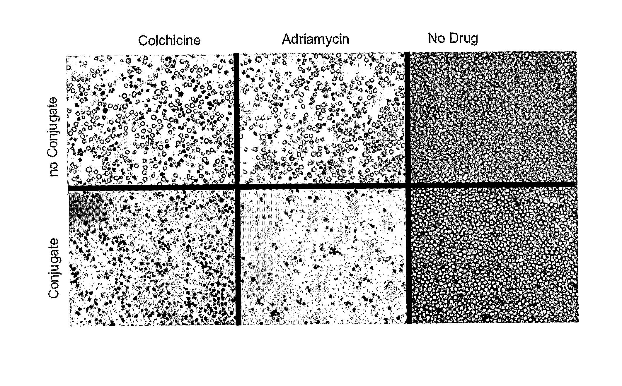 Antibody conjugates for circumventing multi-drug resistance