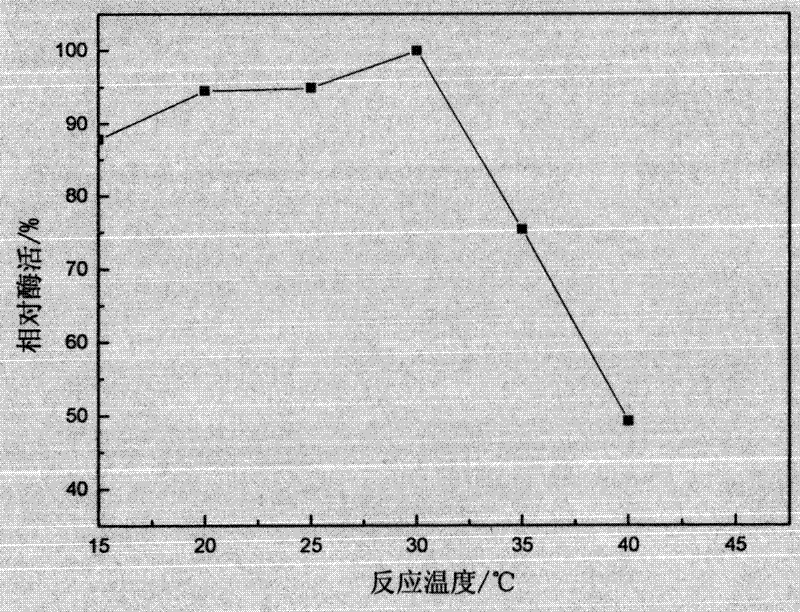 Acinetobacter johnsonii LP28 and method for preparing low-temperature alkali lipase by using acinetobacter johnsonii