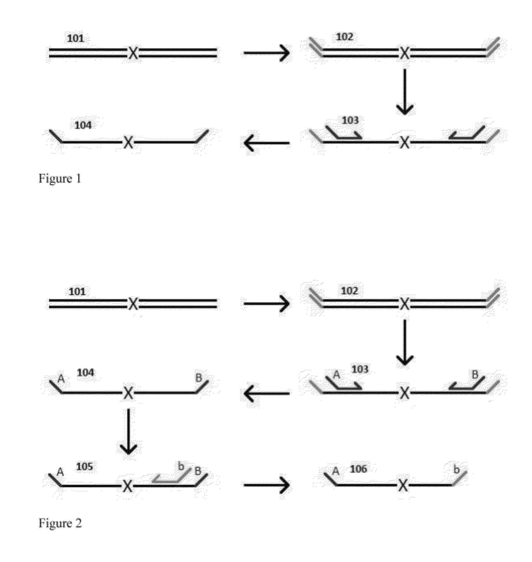 Methods for Non-Invasive Prenatal Ploidy Calling