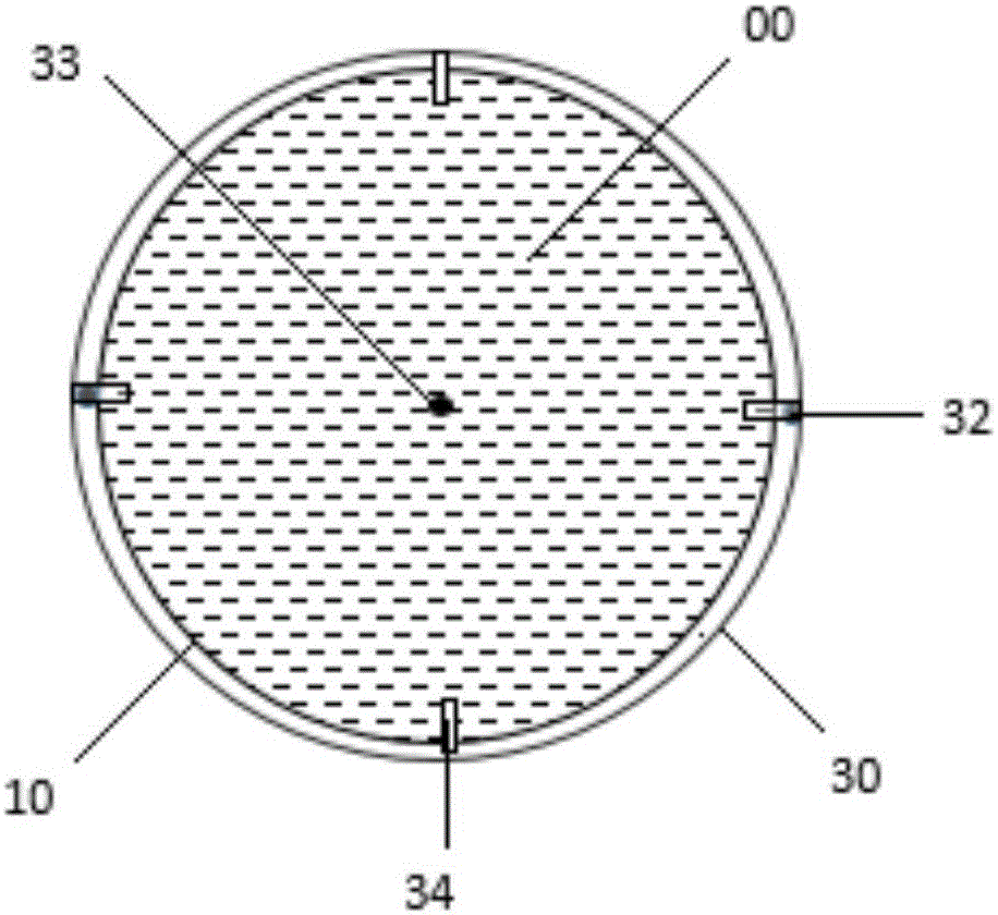 Cone microorganism culture dish