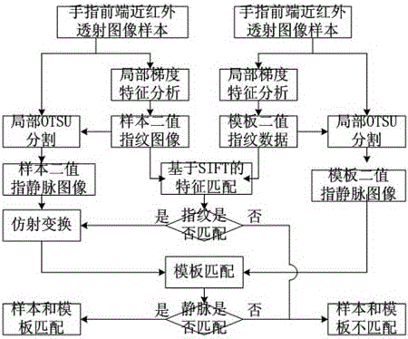 Finger vein and fingerprint fusion identification method of middle part of finger