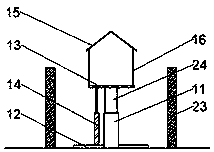 Ventilation system in ecological pig breeding pen