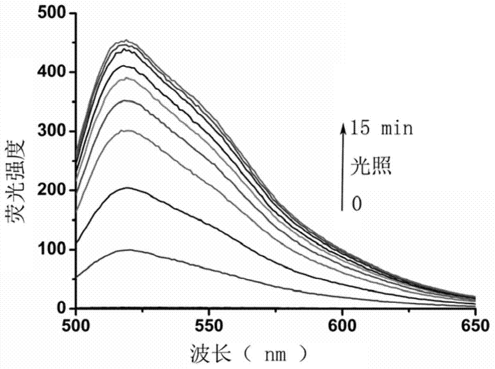 Light activated fluorescent probe having protein label positioning function as well as preparation method and application thereof