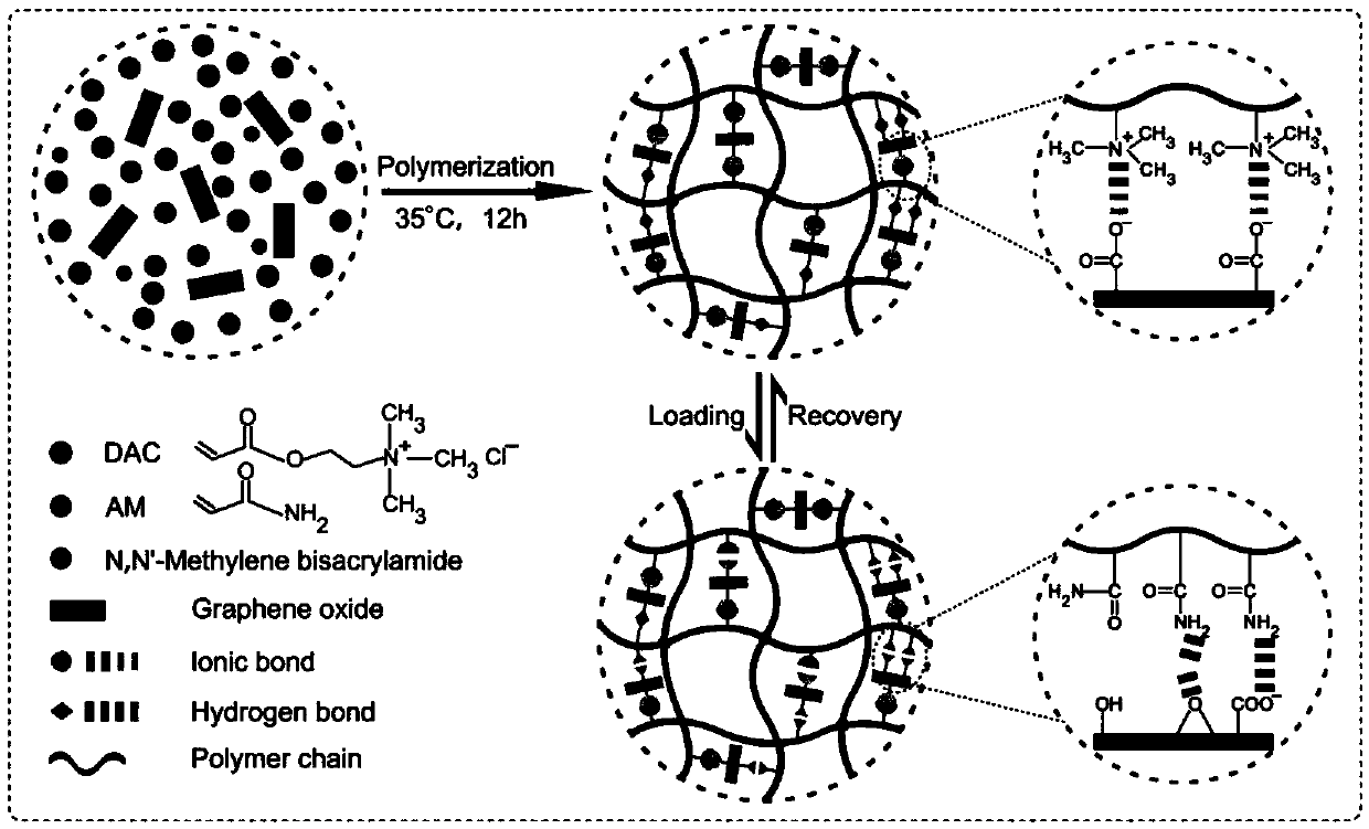 Tough stretchable compressible polymer/graphene oxide nano composite hydrogel with excellent self-repairing performance