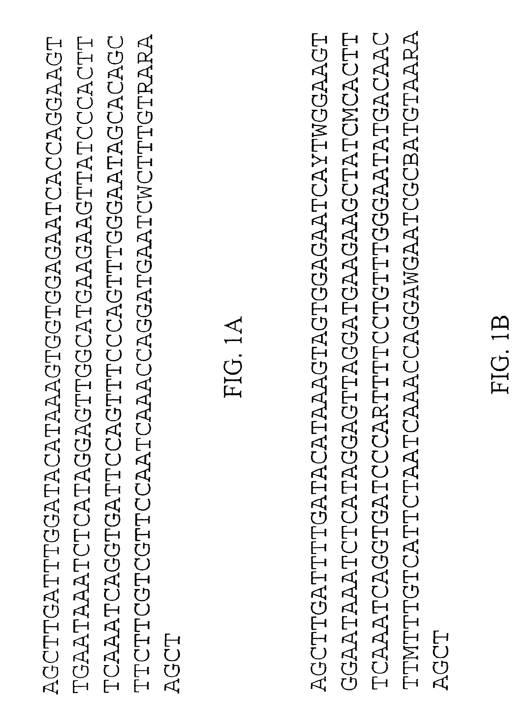 Plant centromere compositions