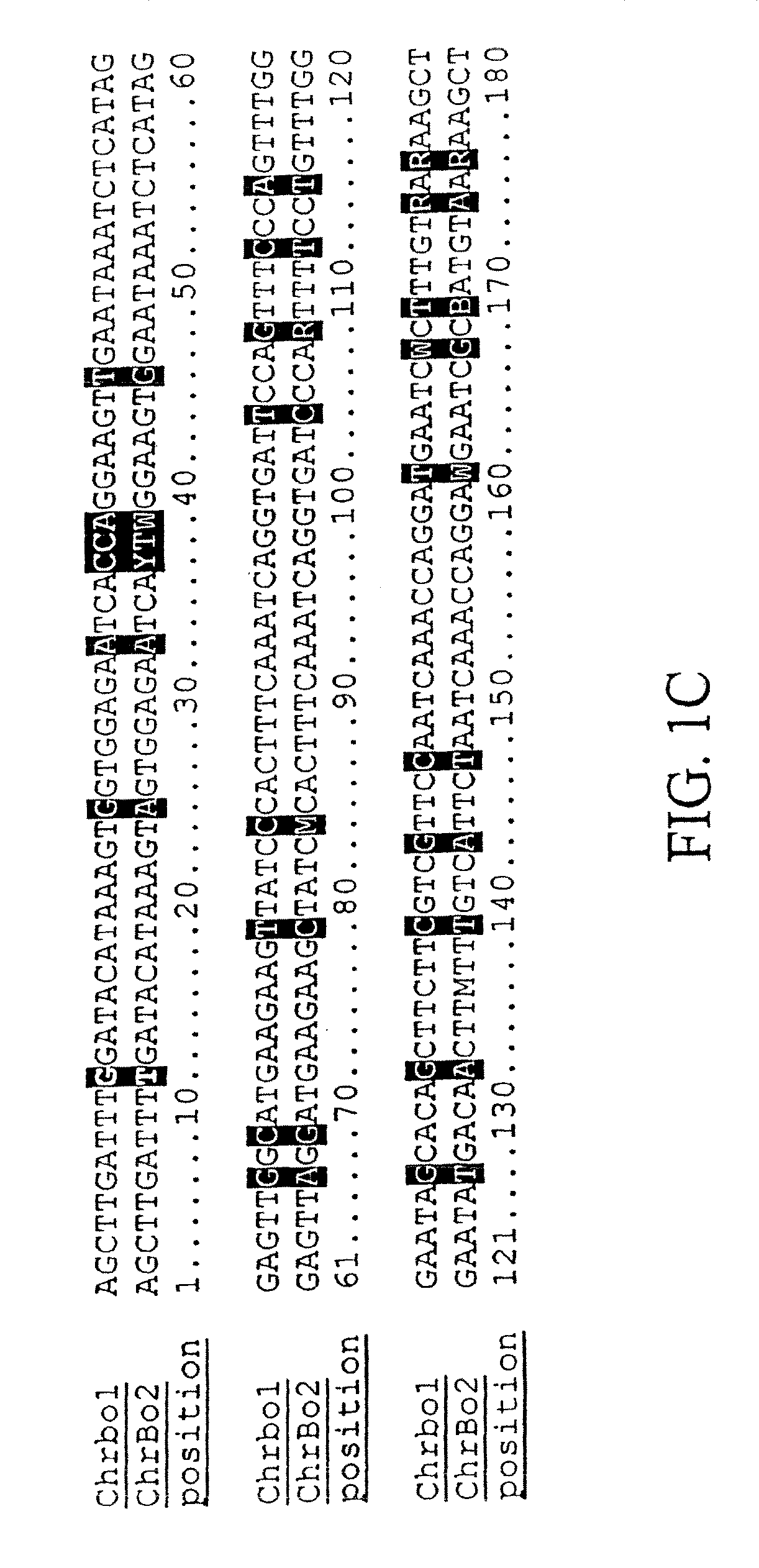 Plant centromere compositions