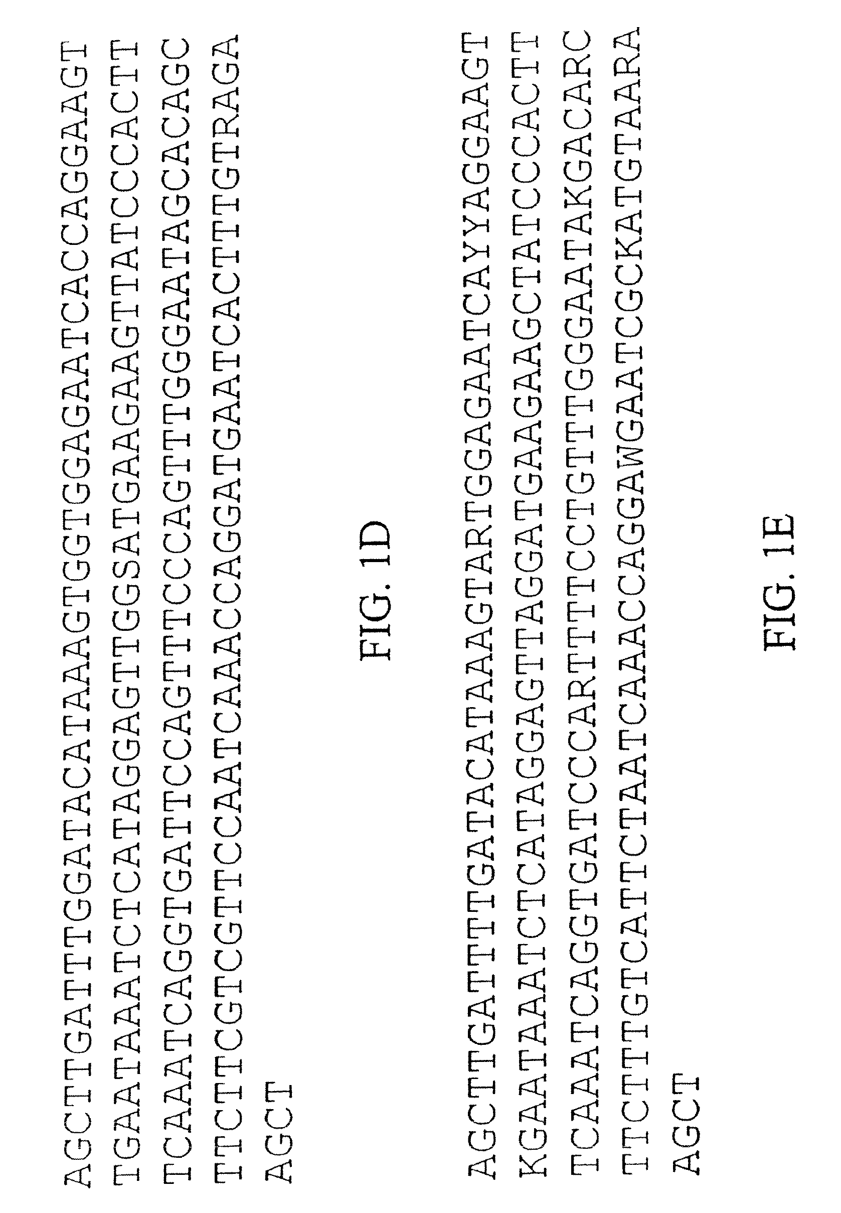 Plant centromere compositions