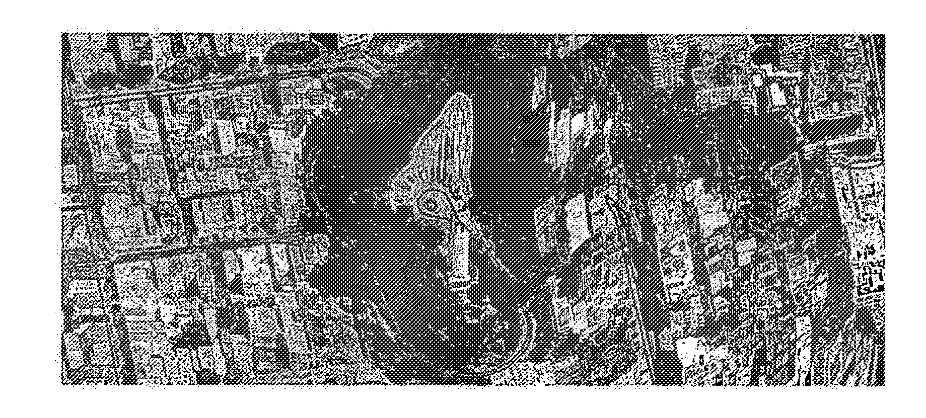 Orthorectifying Stitched Oblique Imagery To A Nadir View, And Applications Thereof