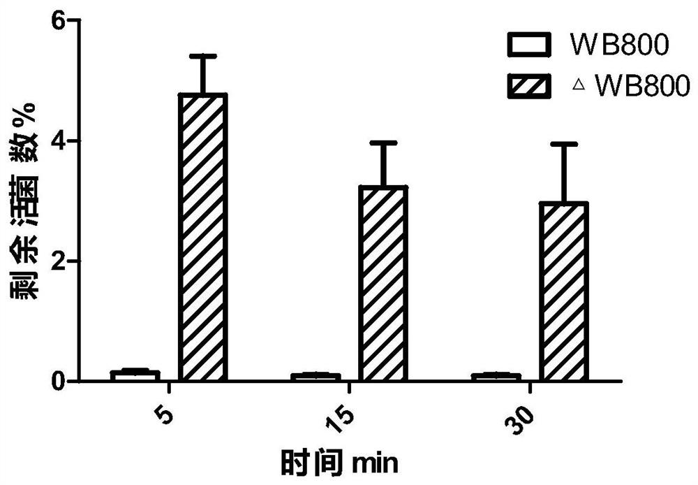 A strain of Bacillus subtilis and its preparation method